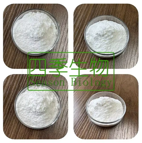 info-500-503