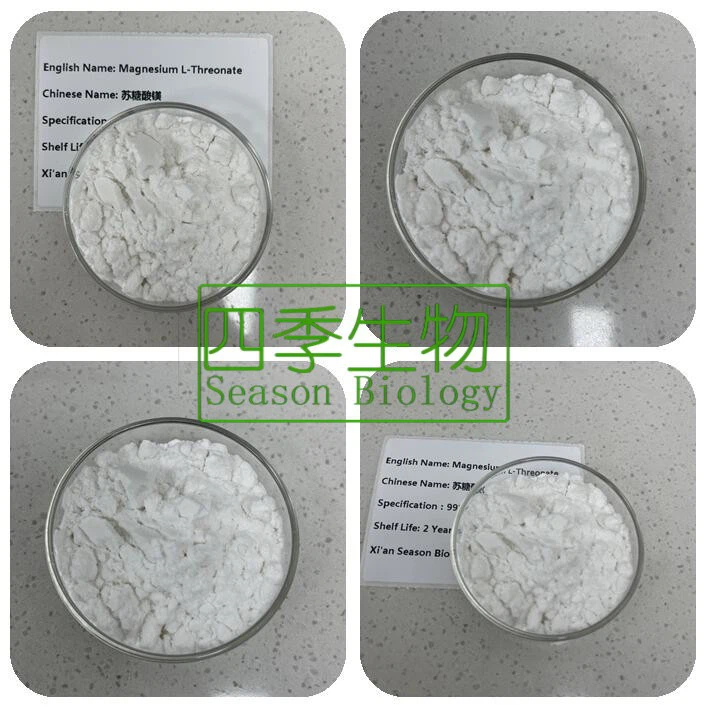 Magnesium L Threonate Powder